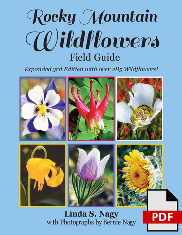 Rocky Mountain Wildflowers Field Guide 2019 (PDF Edition)